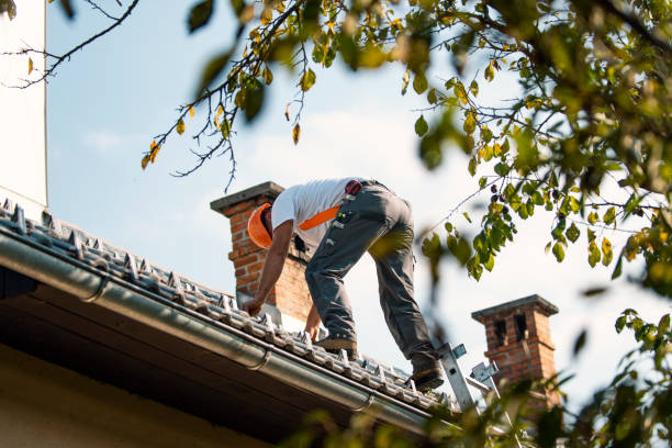 Fast & Reliable Emergency Roof Repairs in Somonauk, IL